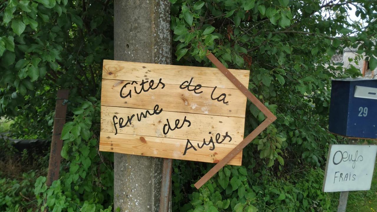 Gîte familiale ferme des aujes falaen Onhaye Extérieur photo