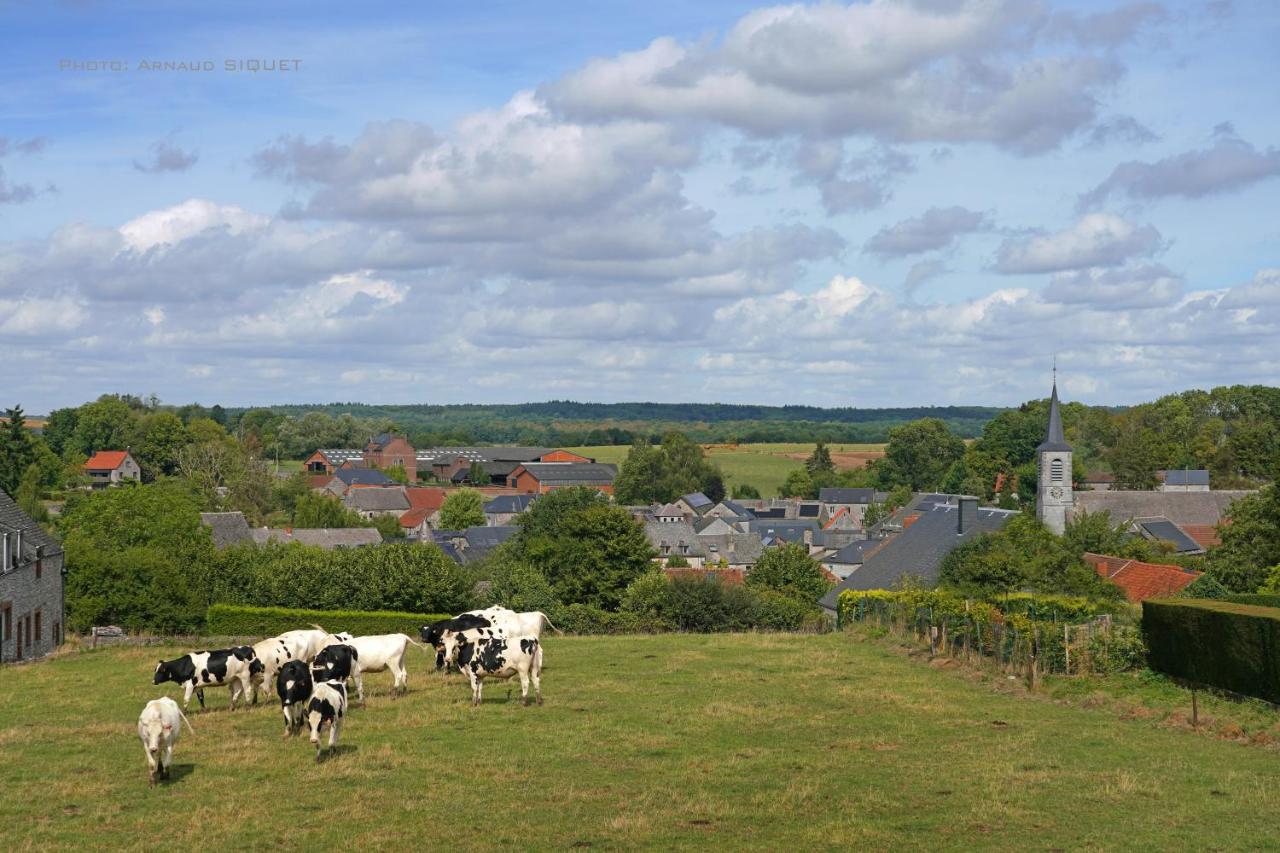 Gîte familiale ferme des aujes falaen Onhaye Extérieur photo
