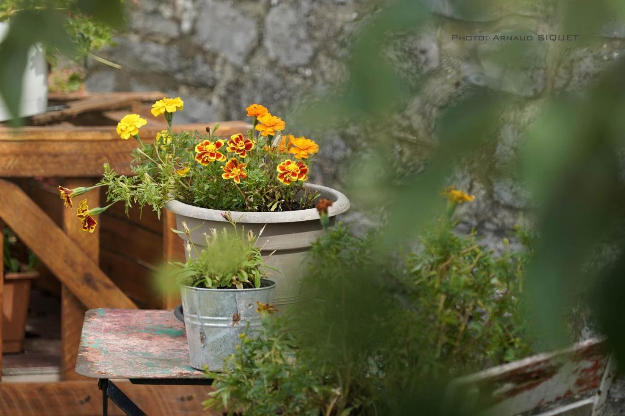 Gîte familiale ferme des aujes falaen Onhaye Extérieur photo